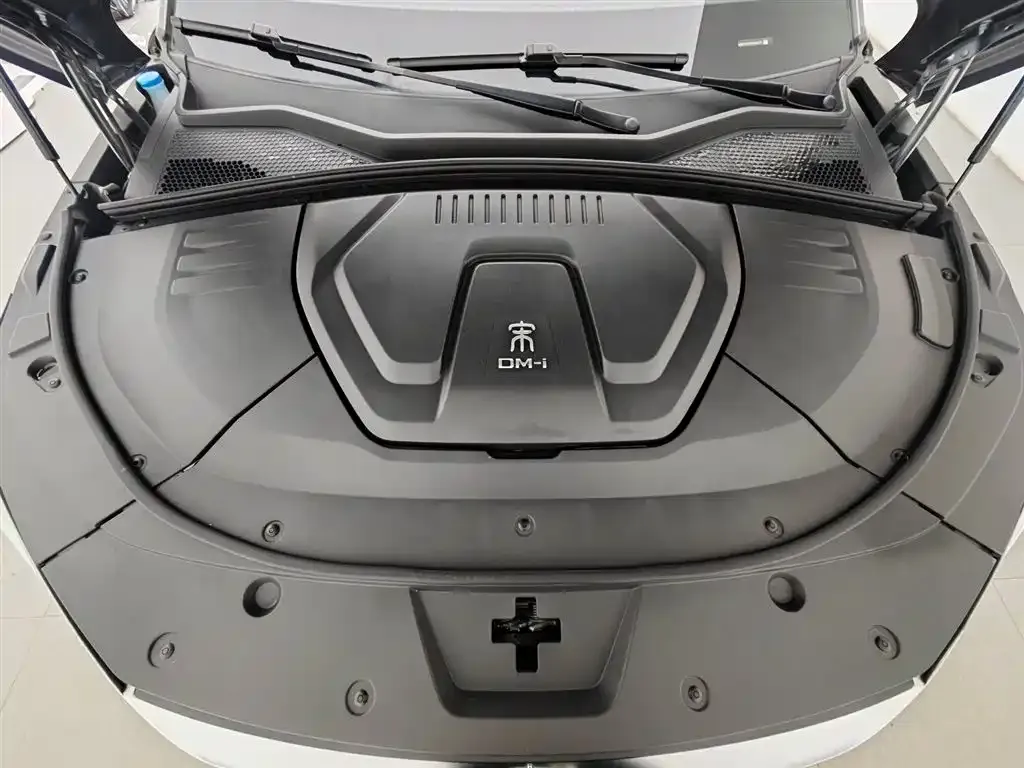 BYD PLUS New Energy — фото 8