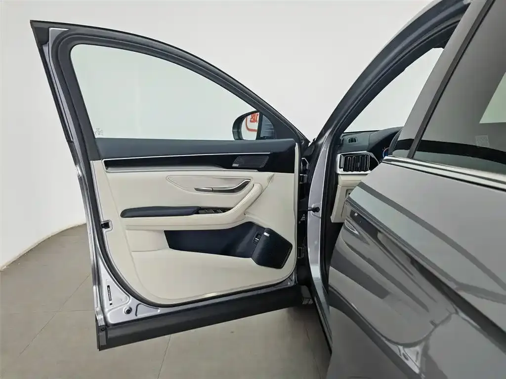 BYD PLUS New Energy — фото 4
