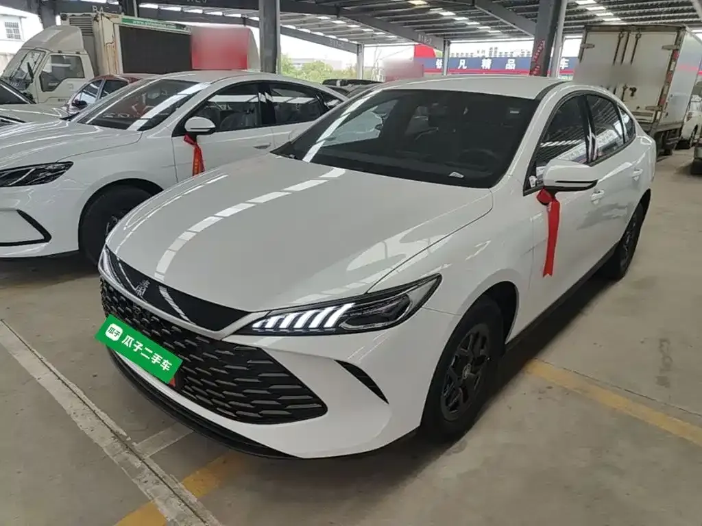 BYD Qin PLUS — фото 1