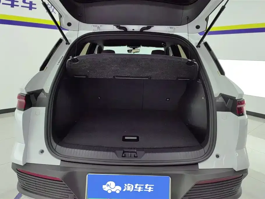 BYD Pro New Energy — фото 4