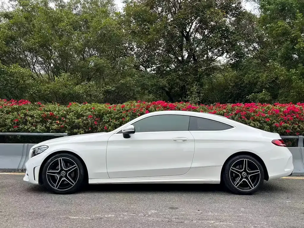 Mercedes-Benz C-Class (Import) — фото 10