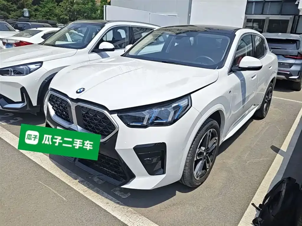 BMW X2 (Import) — фото 1