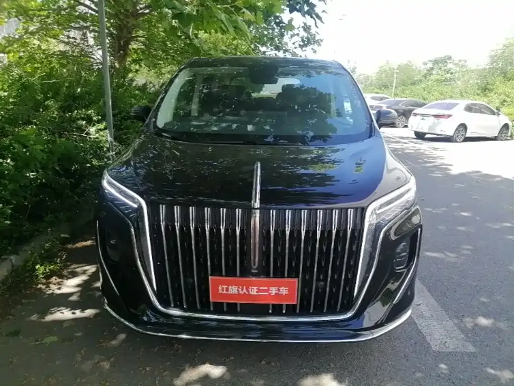 Hongqi HQ9 PHEV — фото 8