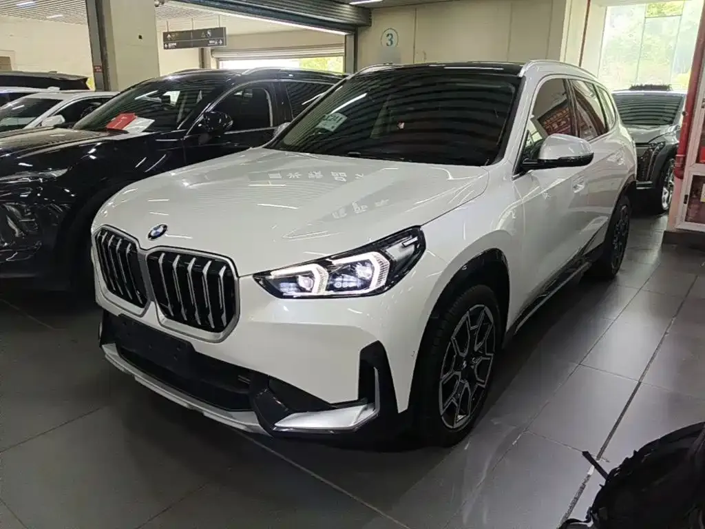 BMW X1 — фото 1