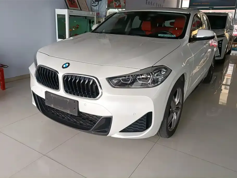BMW X2 — фото 1