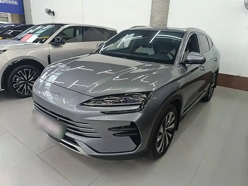BYD PLUS New Energy — фото 1