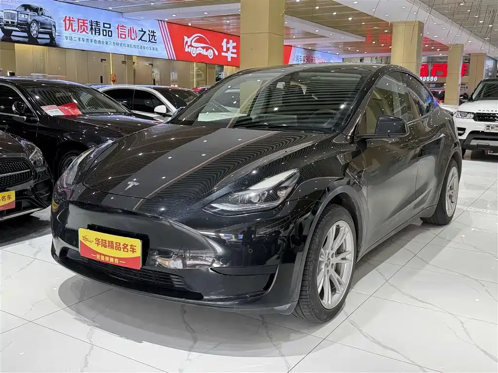 Tesla Model Y — фото 1