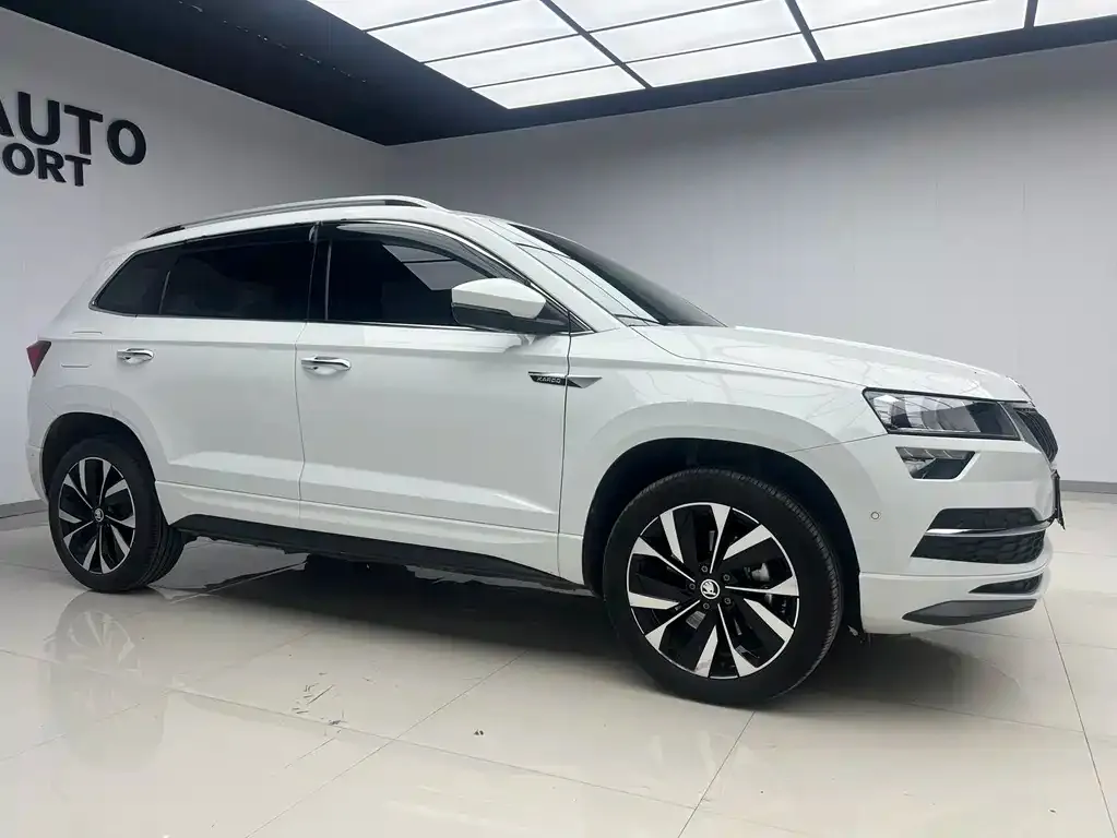 Skoda Karoq — фото 3