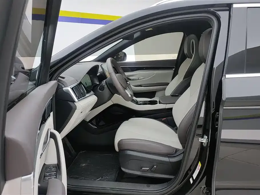 BYD PLUS New Energy — фото 10