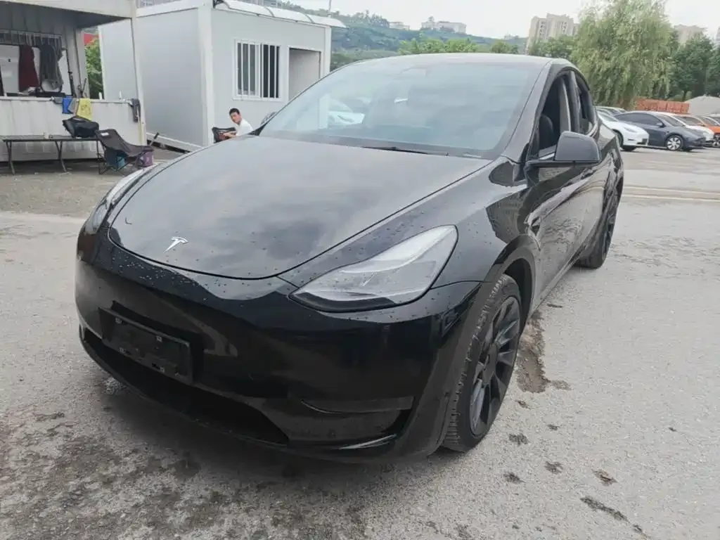 Tesla Model Y — фото 1