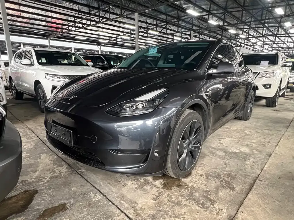 Tesla Model Y — фото 1