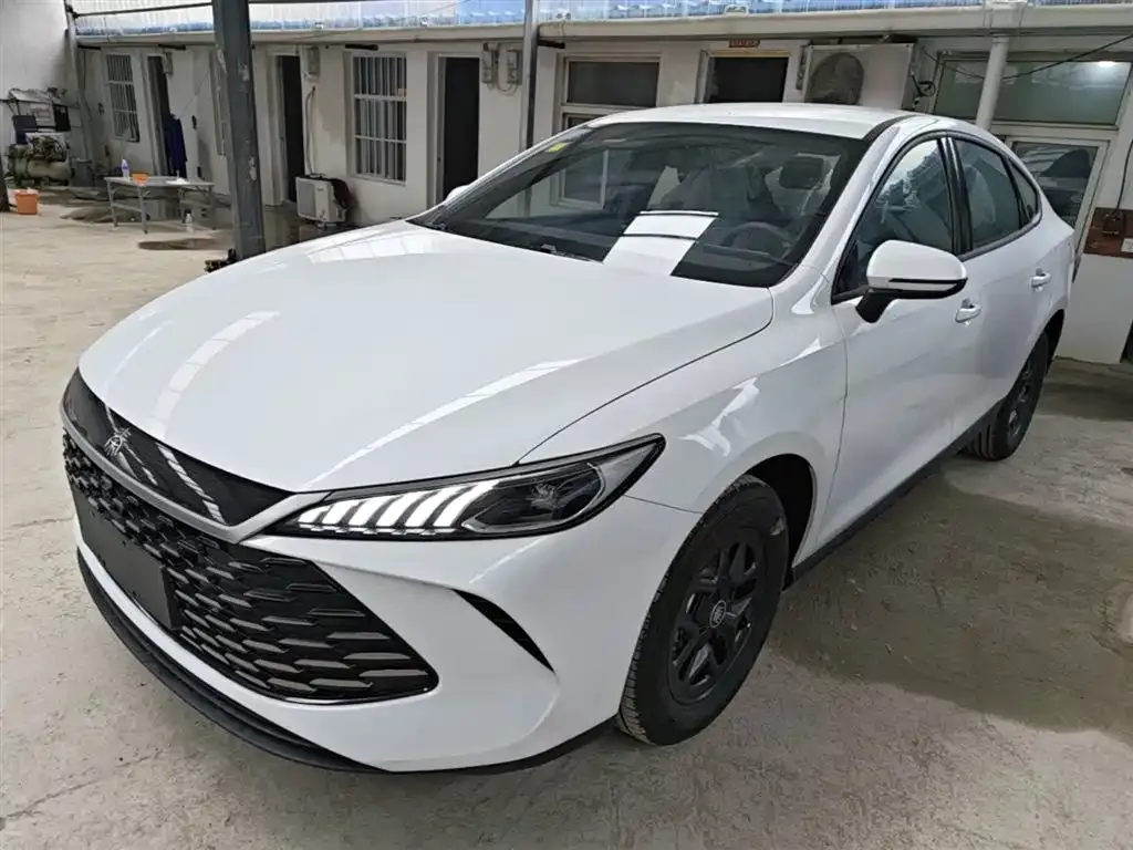BYD Qin PLUS — фото 1