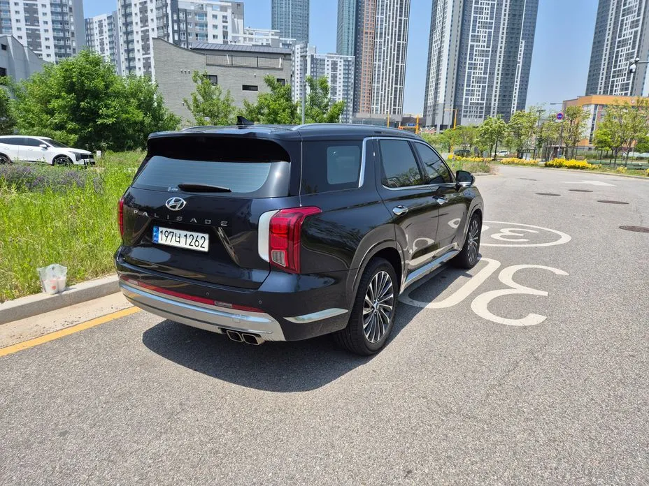 Hyundai Palisade — фото 10