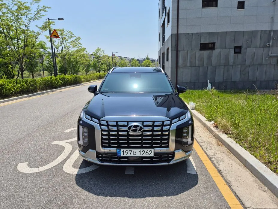 Hyundai Palisade — фото 7