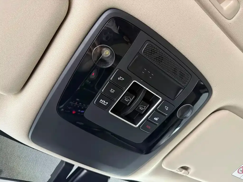 Kia Carnival — фото 9