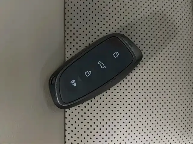 Haval H7 (Big Dog Plus) New Energy — фото 10