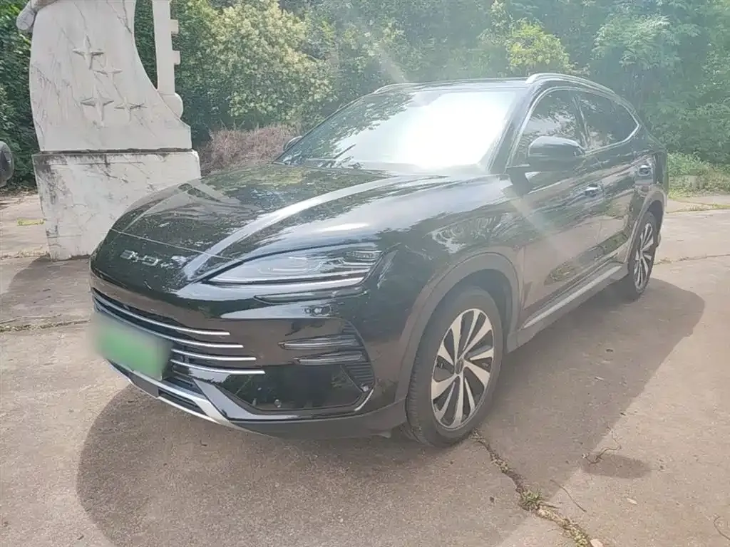 BYD PLUS New Energy — фото 1