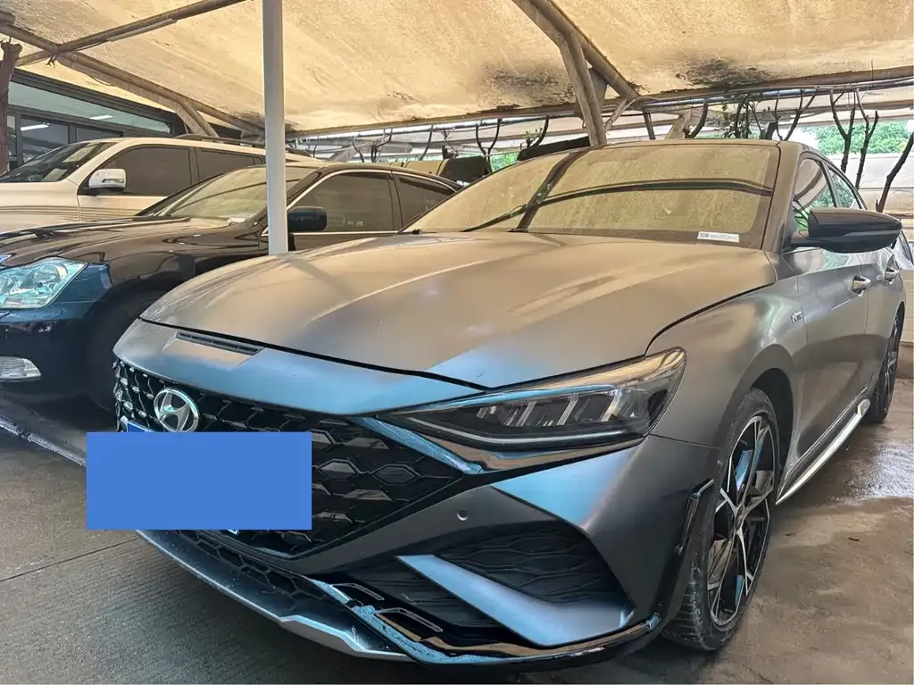 Hyundai Fista — фото 1