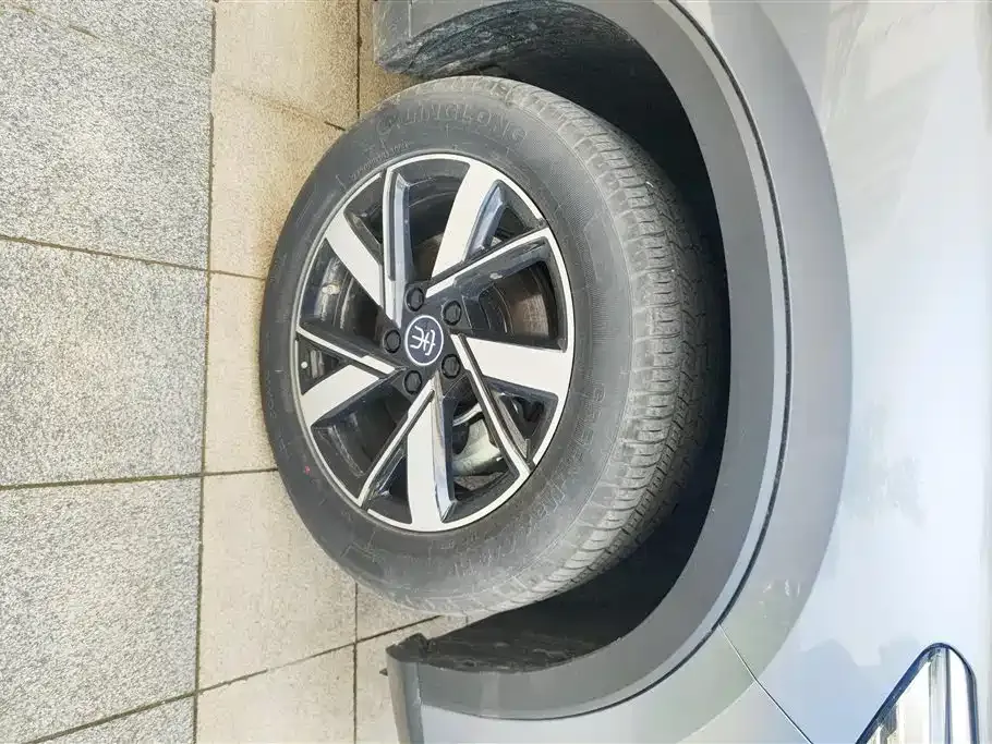 BYD Pro New Energy — фото 2
