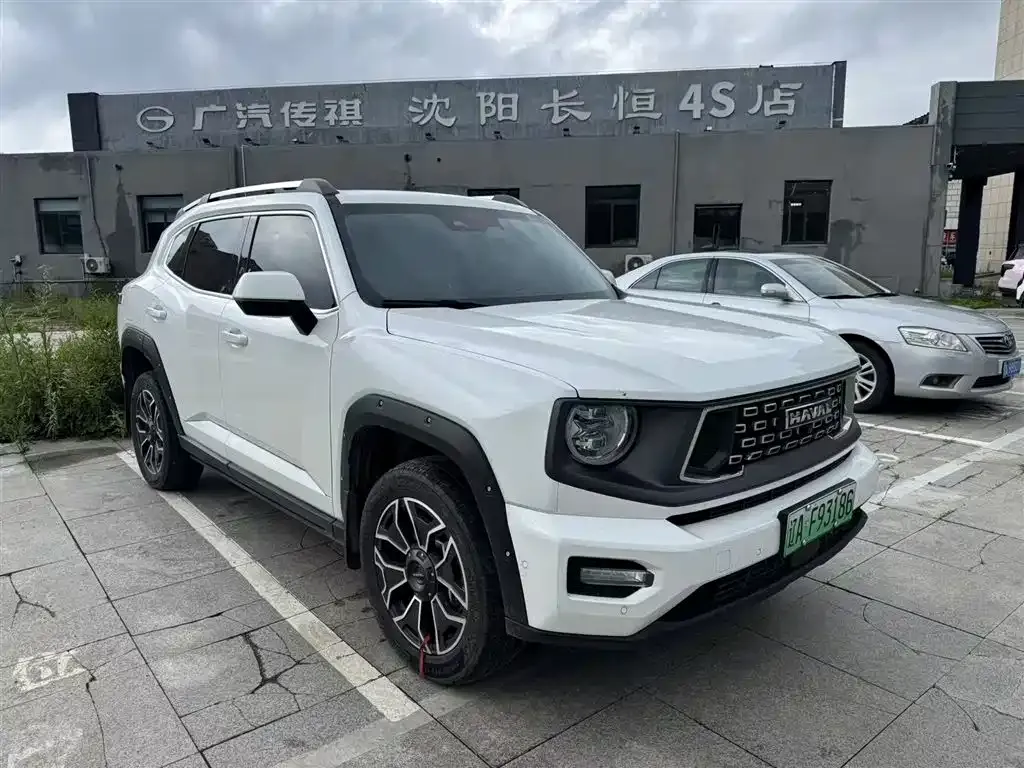 Haval H7 (Big Dog Plus) New Energy — фото 3