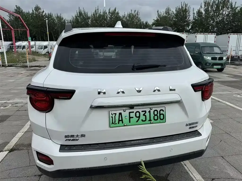 Haval H7 (Big Dog Plus) New Energy — фото 7