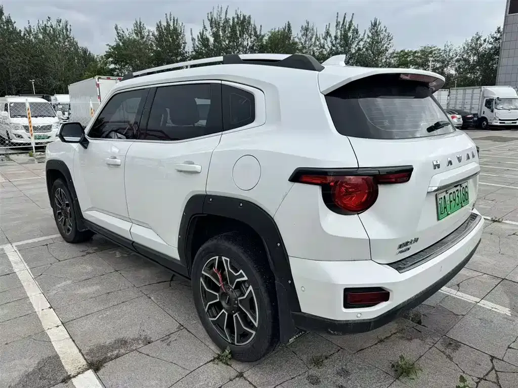 Haval H7 (Big Dog Plus) New Energy — фото 9