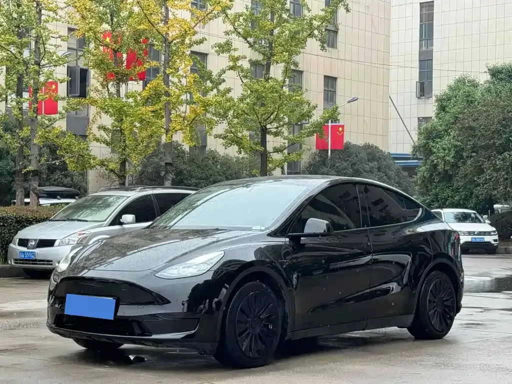 Tesla Model Y — фото 1