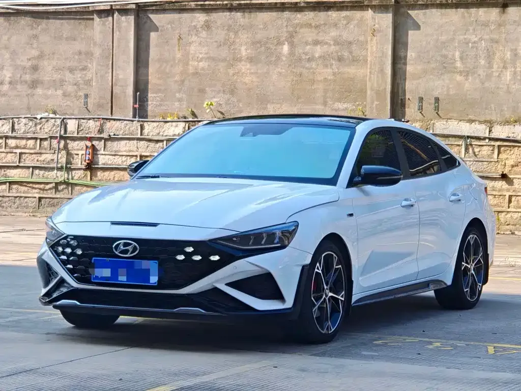 Hyundai Fista — фото 1