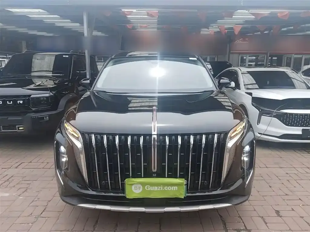 Hongqi HS7 PHEV — фото 4