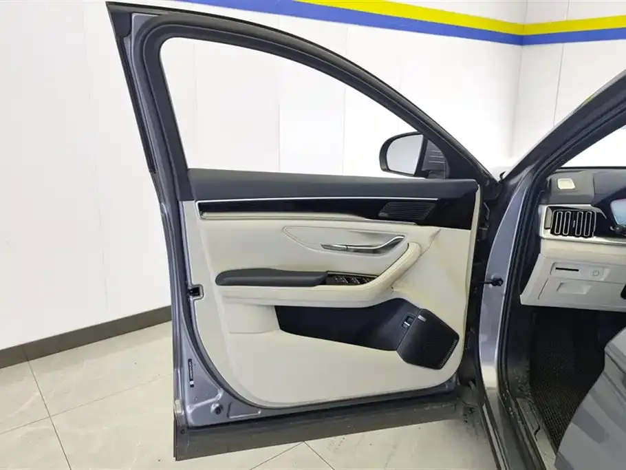 BYD PLUS New Energy — фото 8