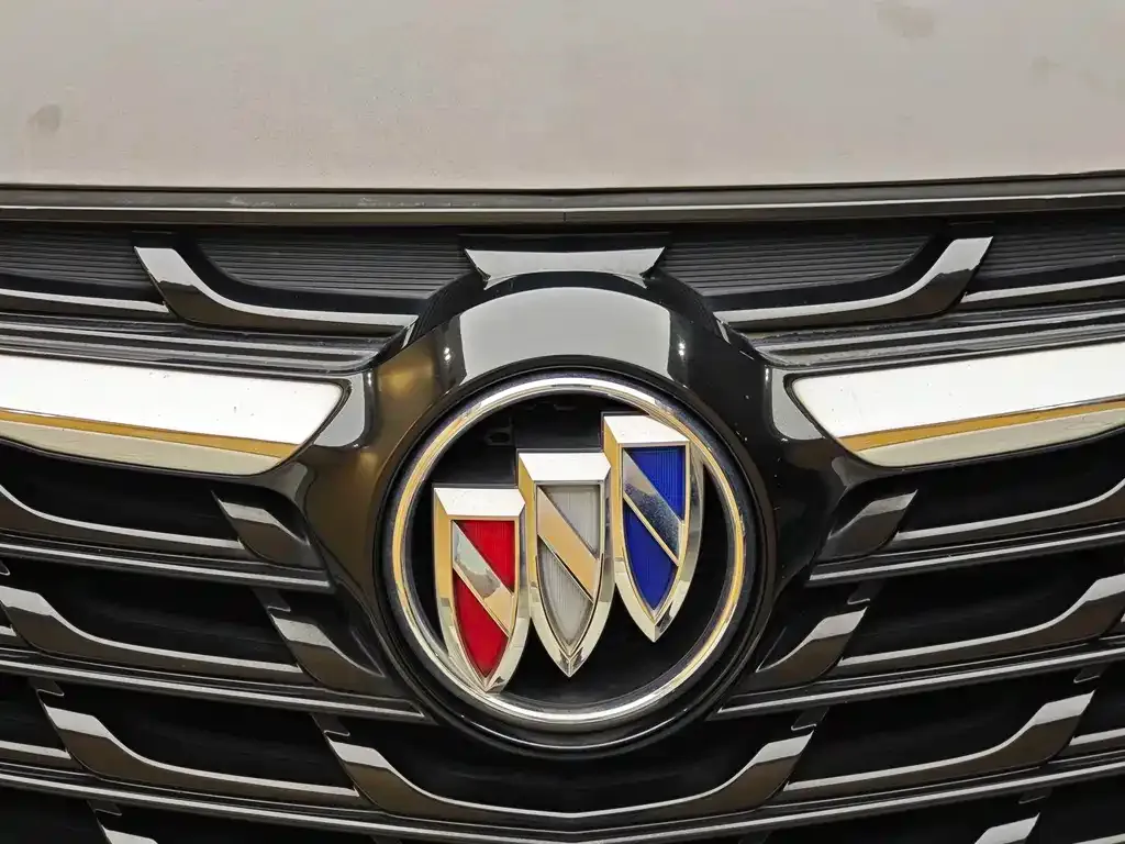 Buick Envision Plus — фото 6