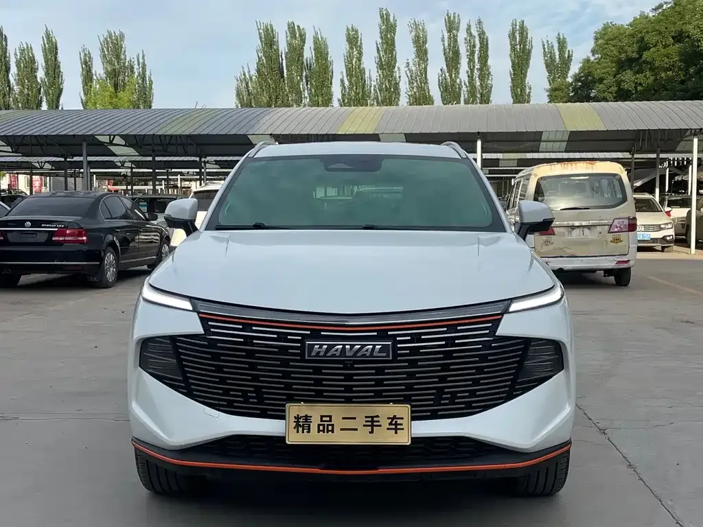 Haval Shenshou — фото 10