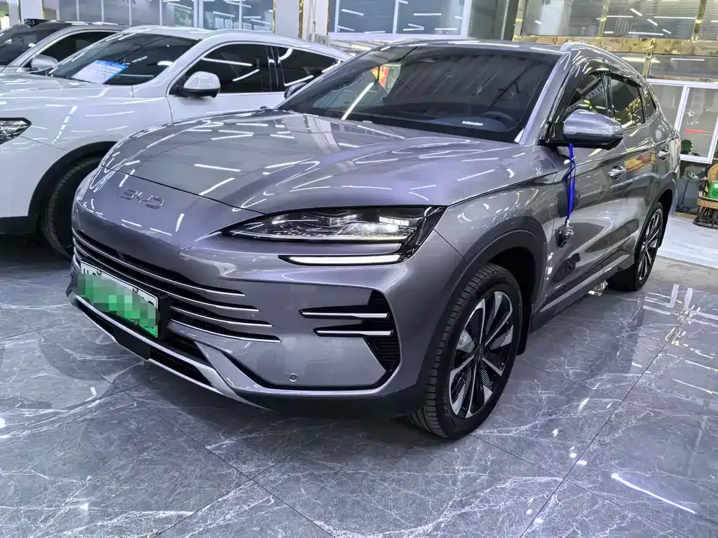 BYD PLUS New Energy — фото 1
