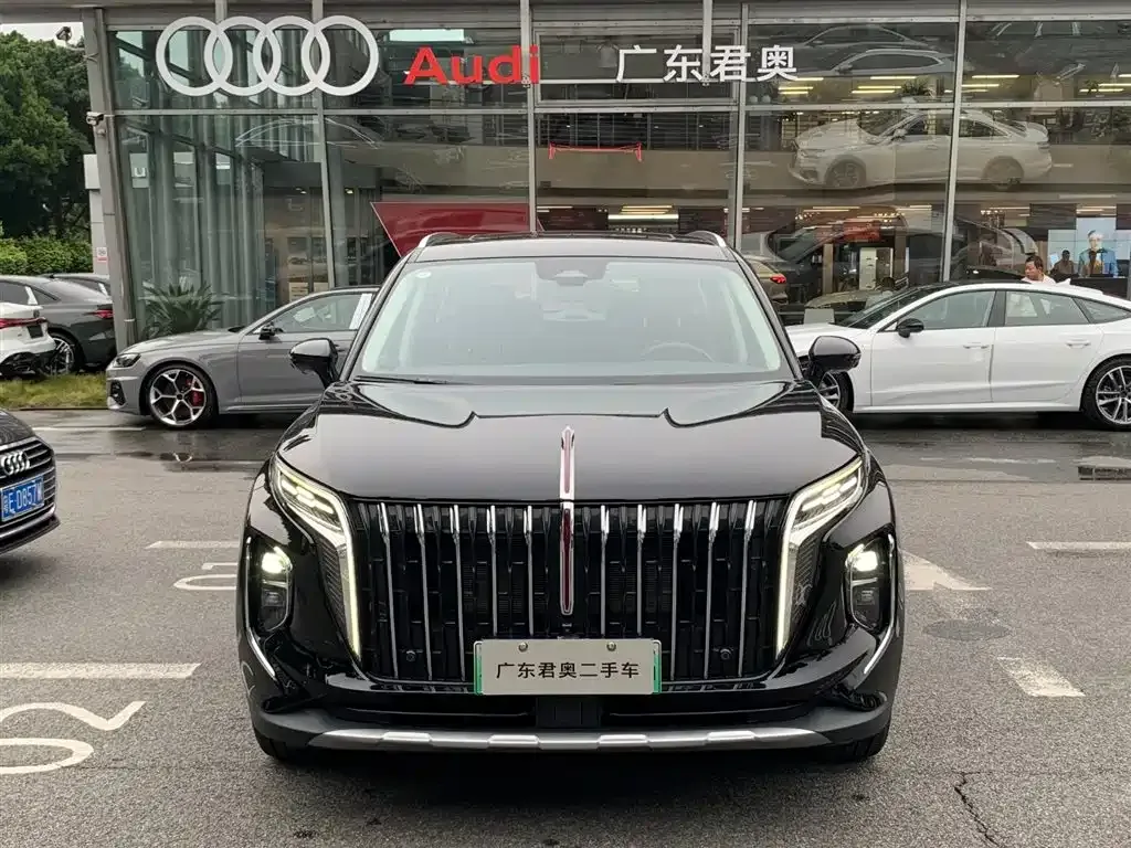 Hongqi HS7 PHEV — фото 7