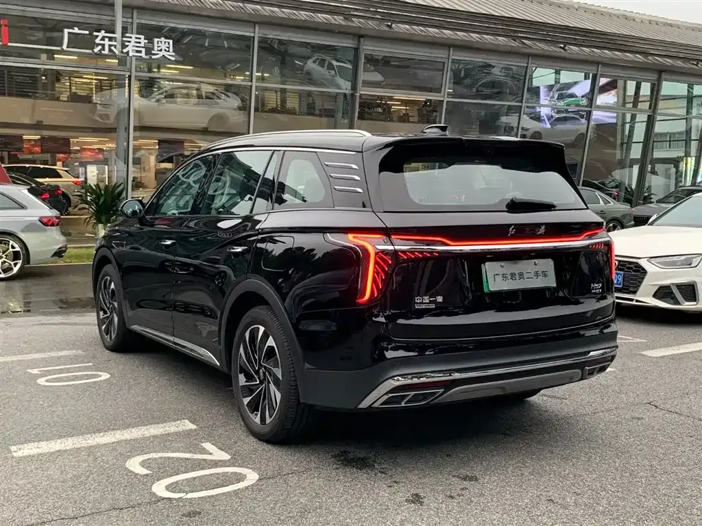 Hongqi HS7 PHEV — фото 9