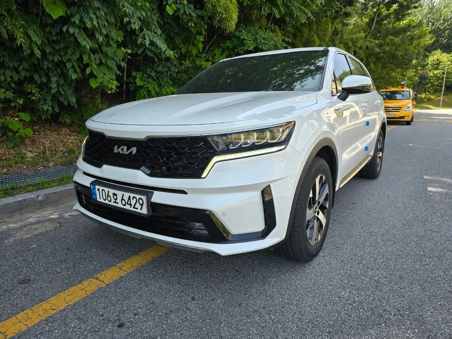Kia Sorento — фото 10