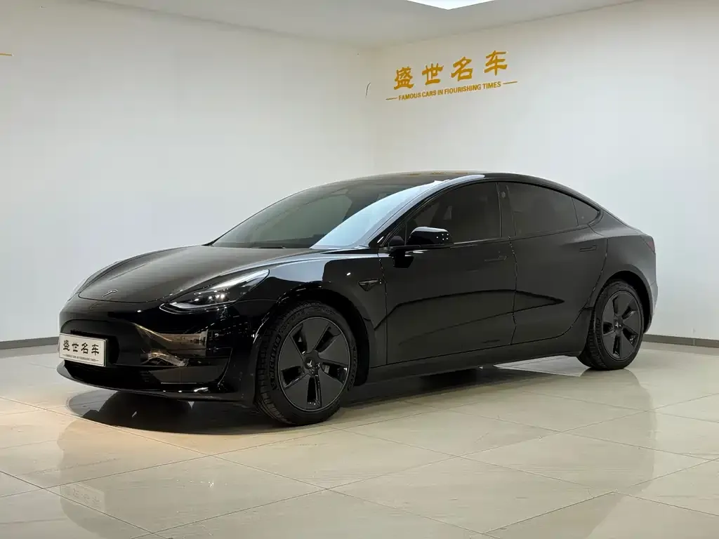 Tesla Model 3 — фото 1