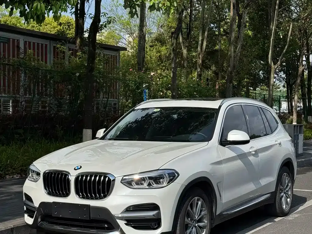 BMW X3 — фото 1