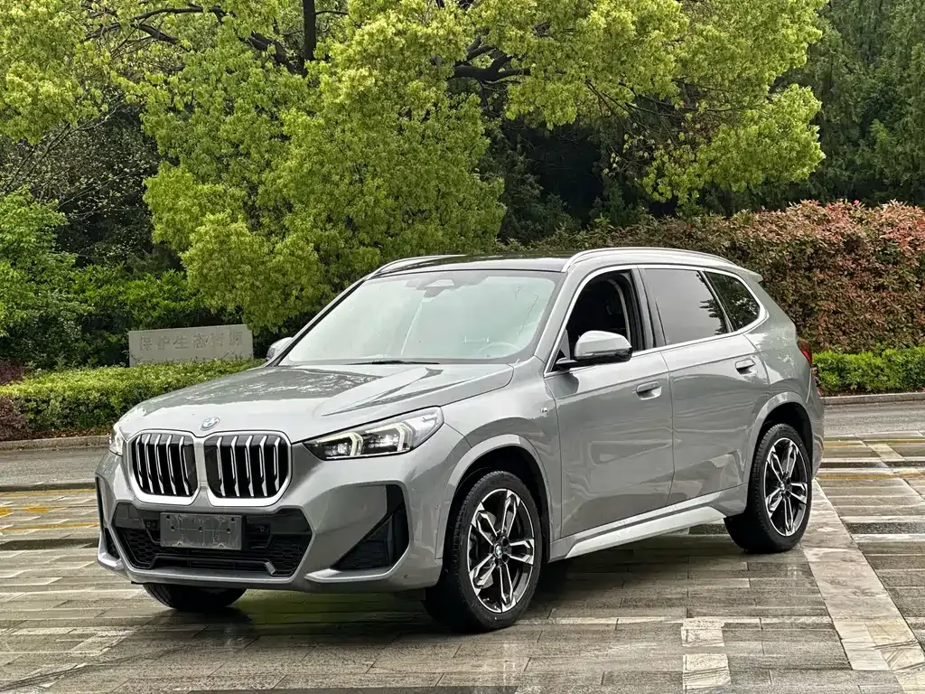 BMW X1 — фото 1