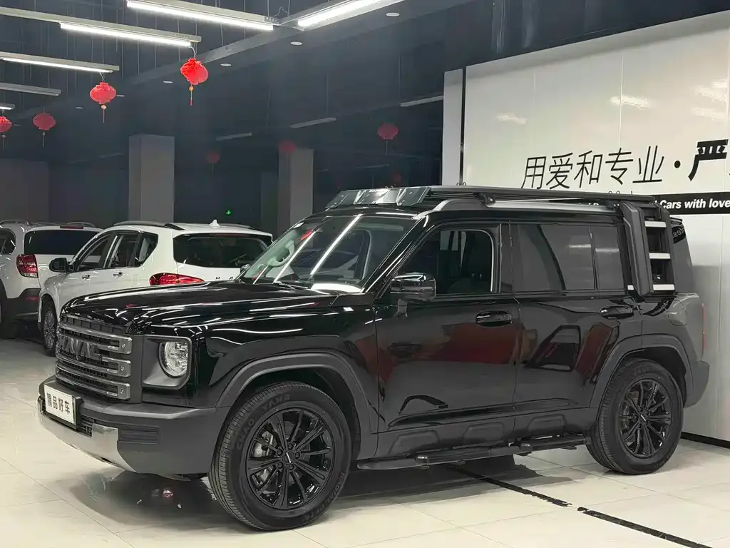 Haval Menglong New Energy — фото 1