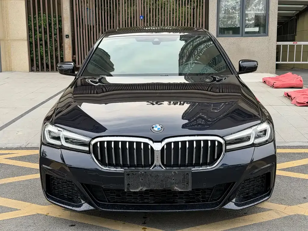 BMW 5 Series (Import) — фото 10