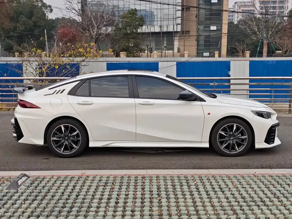 GAC Motor Shadow Leopard — фото 9