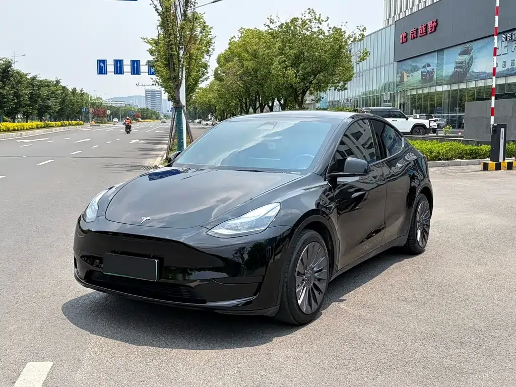 Tesla Model Y — фото 1