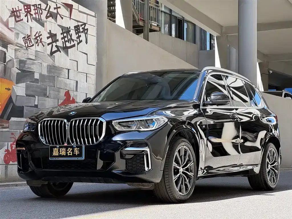 BMW X5 — фото 1