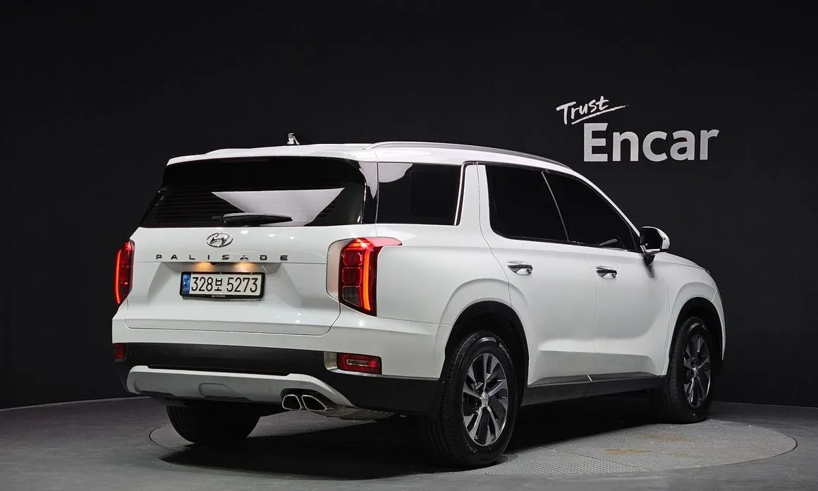 Hyundai Palisade — фото 8