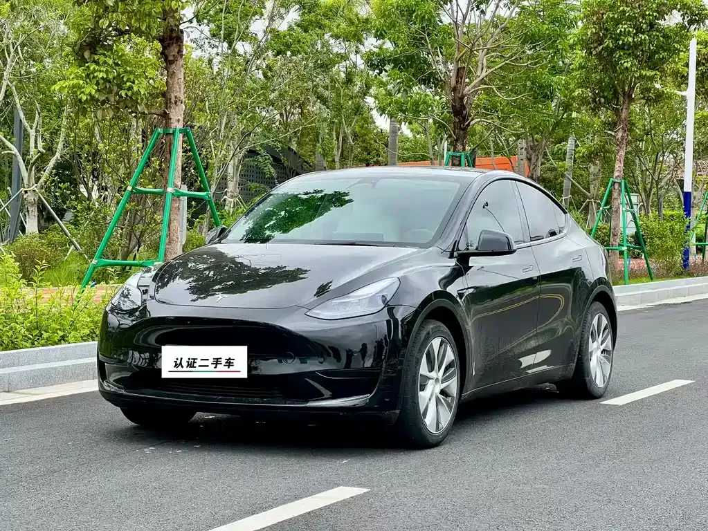 Tesla Model Y — фото 1