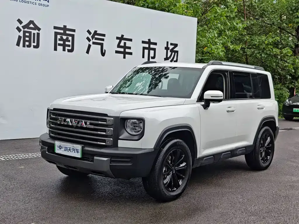 Haval Menglong New Energy — фото 1