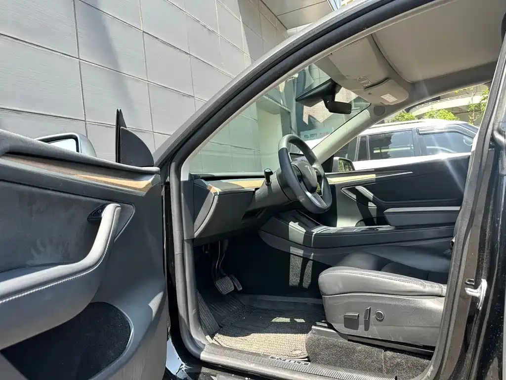 Tesla Model Y — фото 10