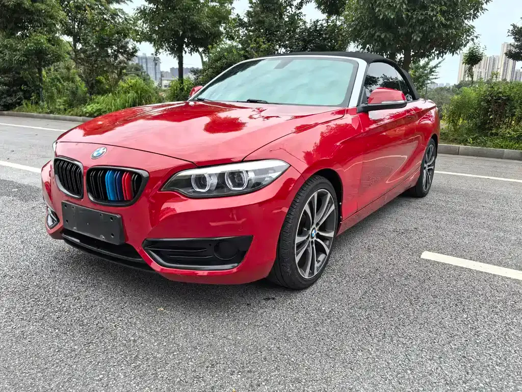 BMW 2 Series (Import) — фото 1