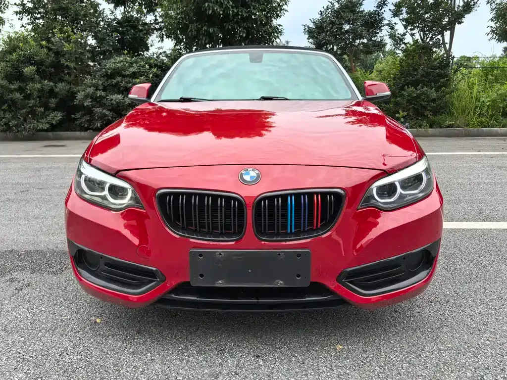 BMW 2 Series (Import) — фото 2